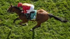 Horse from above